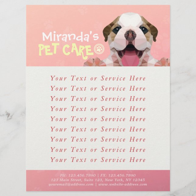 Pet Care Sitting Bade Grooming Salon Food Shop Flyer (Vorne)