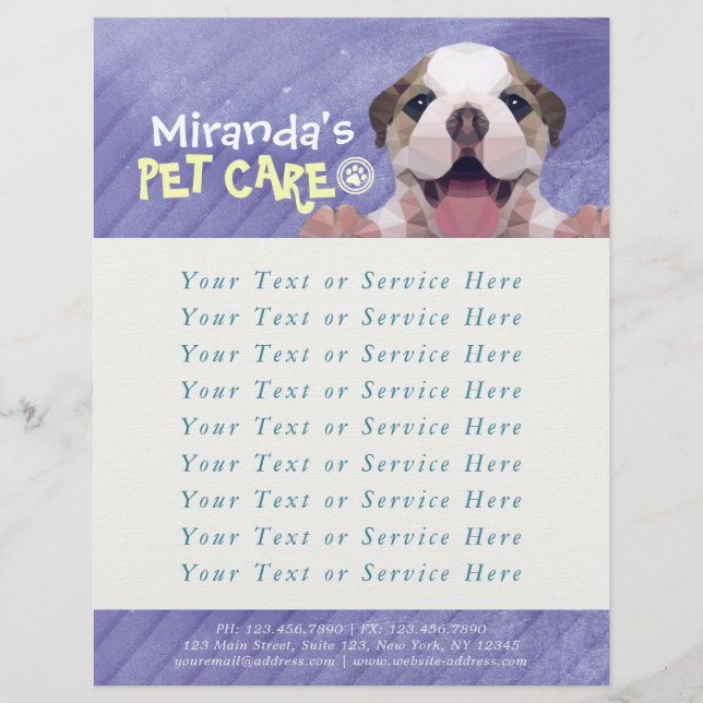 Pet Care Sitting Bade Grooming Salon Food Shop Flyer (Vorne)