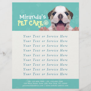 Pet Care Sitting Bade Grooming Salon Food Shop Flyer
