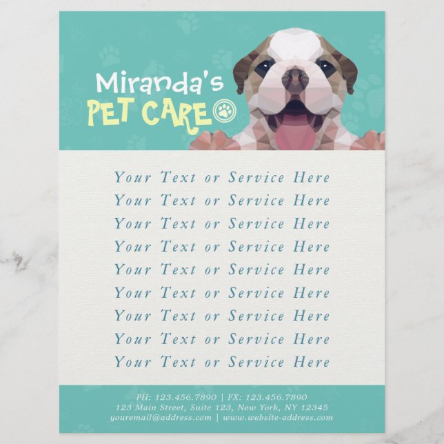 Pet Care Sitting Bade Grooming Salon Food Shop Flyer (Vorne)