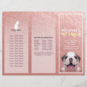 Pet Care Sitting Grooming Salon Tri-Fold Broschüre