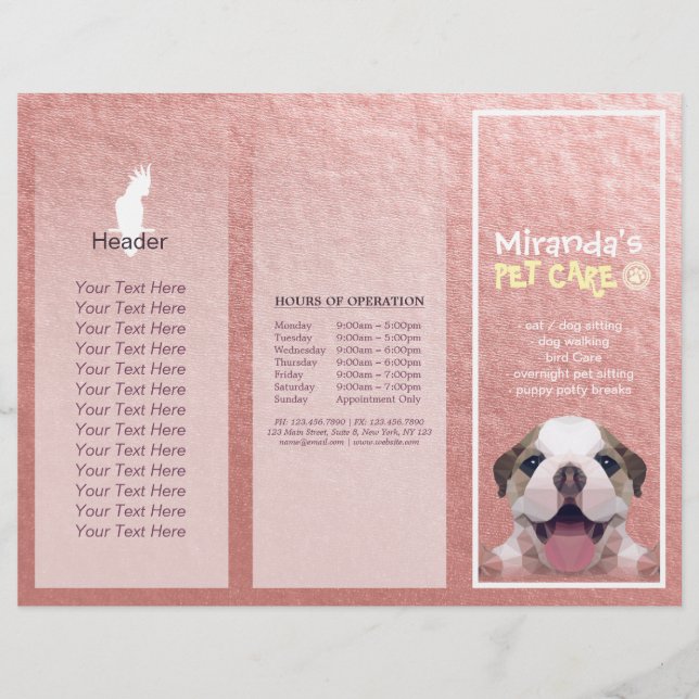 Pet Care Sitting Grooming Salon Tri-Fold Broschüre (Vorderseite)