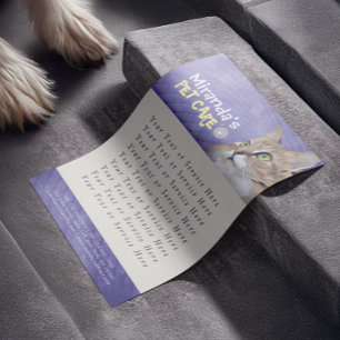 Pet Care Sitzen Baden Grooming Beauty Salon Katze Flyer