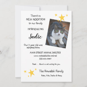 Pet Cat Adoption New Pet Faire-part Flat Card