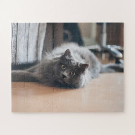 Pet Cat Kitten Fun anpassen