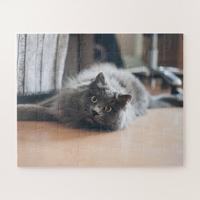 Pet Cat Kitten Fun anpassen (Horizontal)