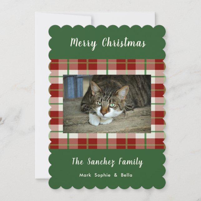Pet Chat Chien vacances Noël Appartement Carte pho (Devant)