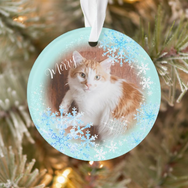 Pet Chat Noël Bleue Ornement (Arbre)