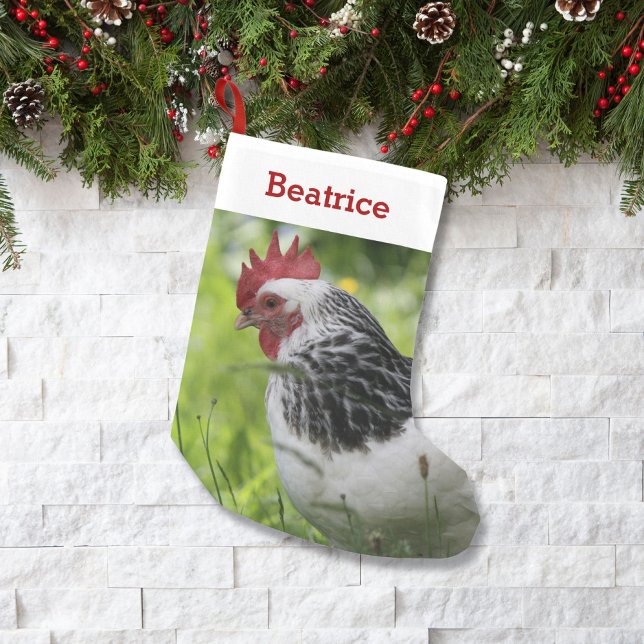 Pet Chicken Lover Foto und Name Personalisiert Kleiner Weihnachtsstrumpf (Von Creator hochgeladen)