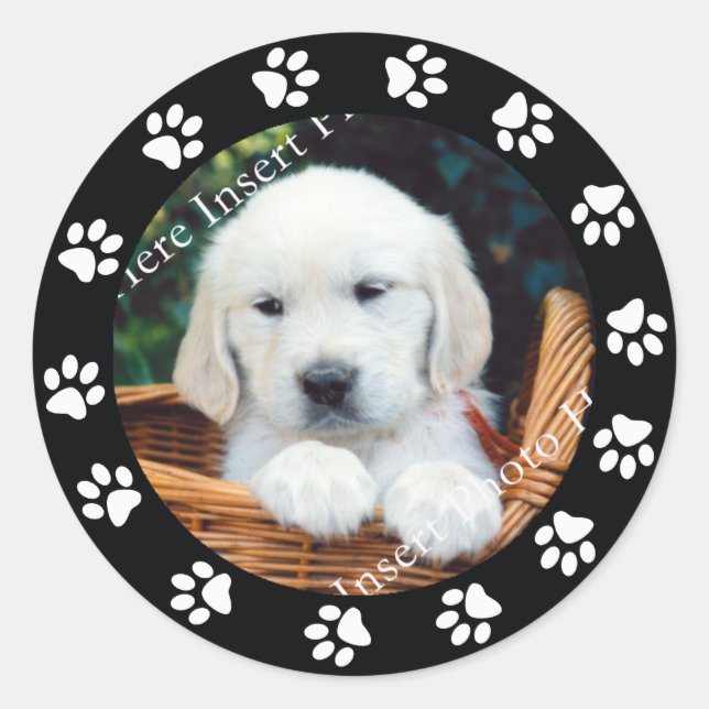 Pet Chien Chien Empreinte de patte Frame Sticker   (Devant)
