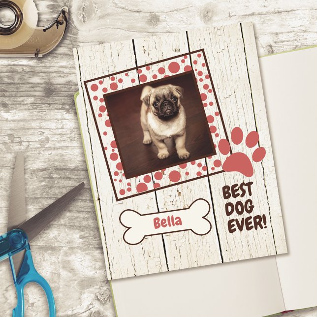 Pet Chien Girl Photo Scrapbook Cardstock Papier (Créateur téléchargé)