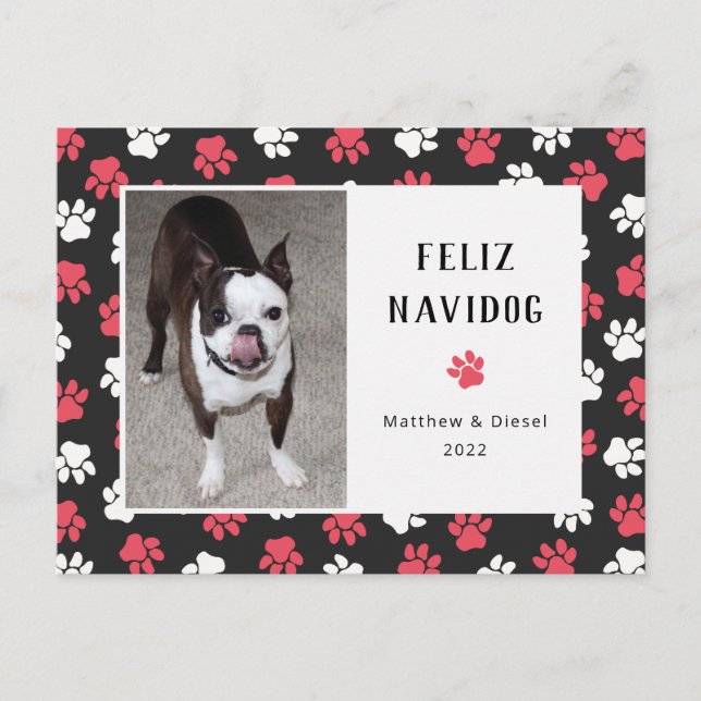 Pet Christmas Card Foto Funny Postkarte (Vorderseite)