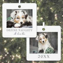 Pet Definieren Naughty Dog Foto Weihnachten