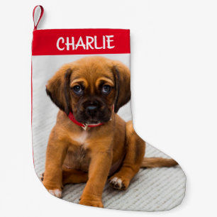 Pet Dog Foto Kleiner Weihnachtsmann Strumpf erstel Weihnachtsstrumpf