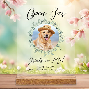 Pet Dog Mariage Open Bar Photo Boissons Personnali