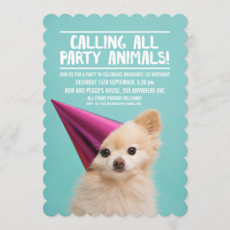 PET DOG'S PUPPY PARTY FOTO INVITE EINLADUNG