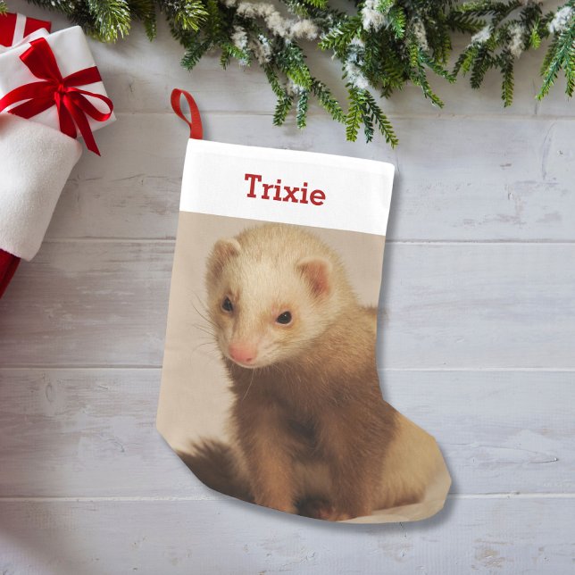 Pet Ferret Lover Foto und Name Personalisiert Kleiner Weihnachtsstrumpf (Von Creator hochgeladen)