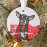 Pet First Christmas Ornament<br><div class="desc">Begleiter erste Weihnachts-Foto Weihnachtsschmuck. Bildvorlage über Pixabay,  lizenziert unter CC0 und muss durch eigene Foto ersetzt werden</div>