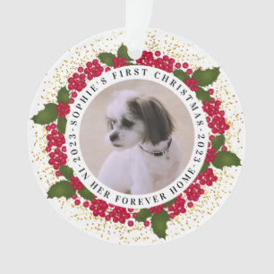 Pet Forever Accueil Premier Noël