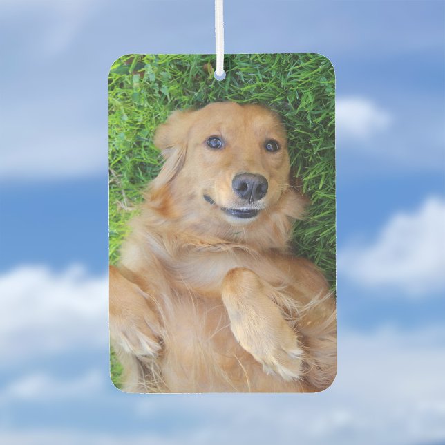 Pet Foto Air Freshener Autolufterfrischer (Von Creator hochgeladen)