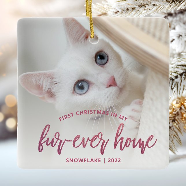 Pet Foto Erste Weihnachtsferien Forever Zuhause Pi Keramikornament (Von Creator hochgeladen)