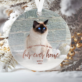 Pet Foto Erste Weihnachtsferien Forever Zuhause Ro Ornament