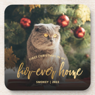 Pet Foto First Christmas Forever Zuhause Gold Scri Getränkeuntersetzer
