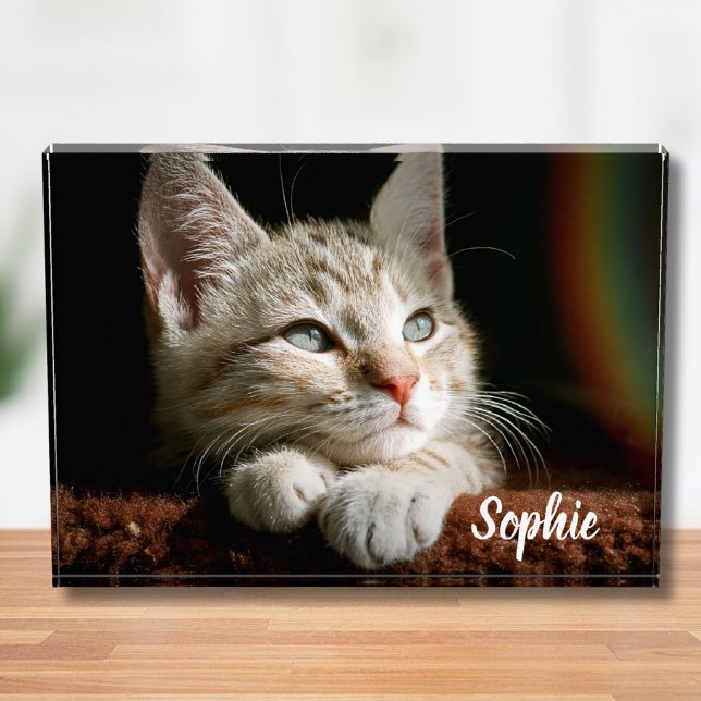 Pet-Foto Fotoblock (Pet Photo Block)