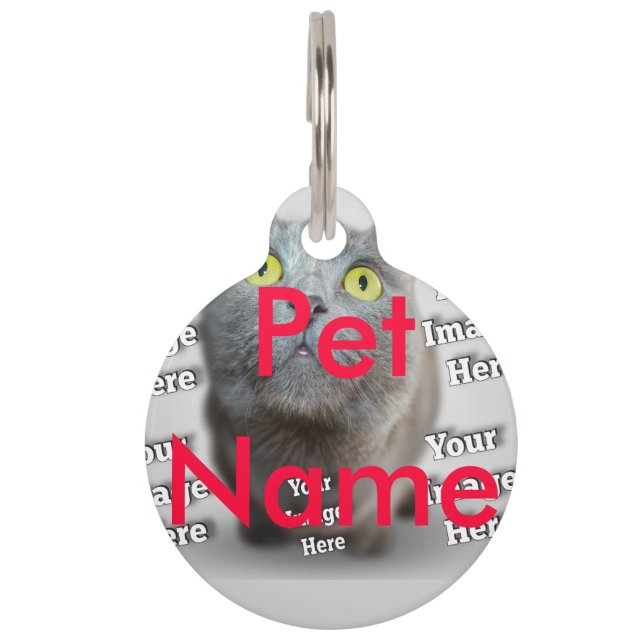 PET-Foto ✨ Haustiermarke (Vorderseite)