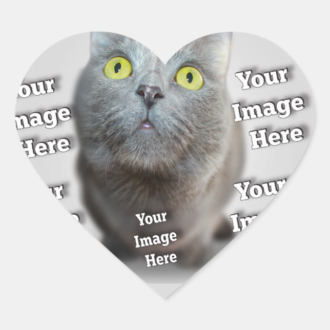 PET-Foto ✨ Herz-Aufkleber (Vorderseite)
