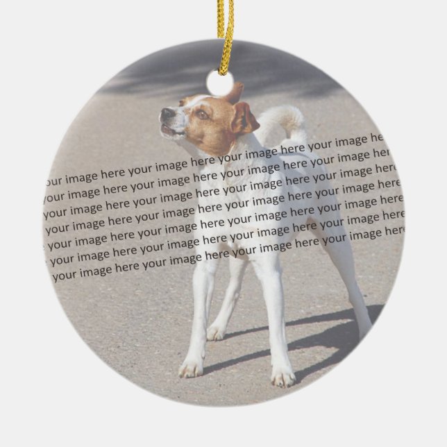 PET-Foto ✨ Keramik Ornament (Vorne)