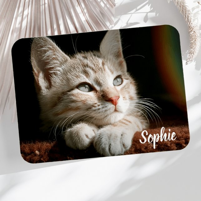 Pet-Foto Magnet (Cat Photo Magnet)
