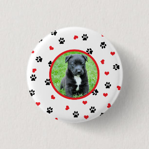 pet Foto mit niedlichem süßem Tatzen- und Button