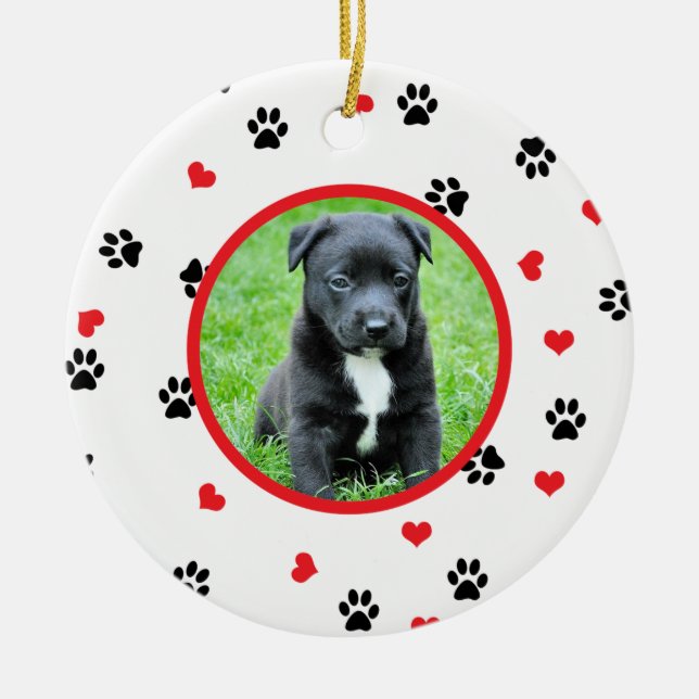 pet Foto mit niedlichem süßem Tatzen- und Keramikornament (Vorne)