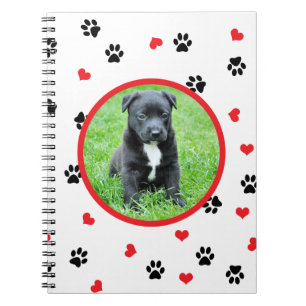 pet Foto mit niedlichem süßem Tatzen- und Notizblock