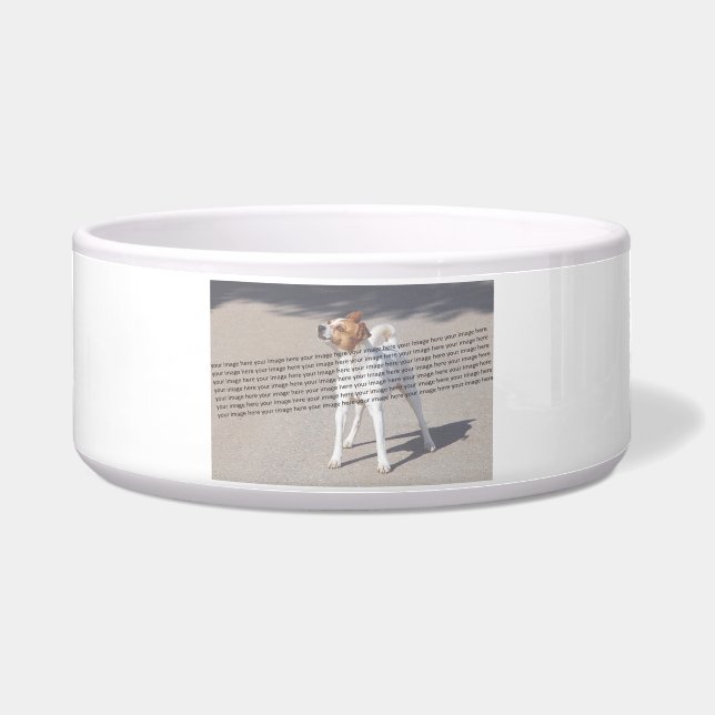 PET-Foto ✨ Napf (Vorderseite)