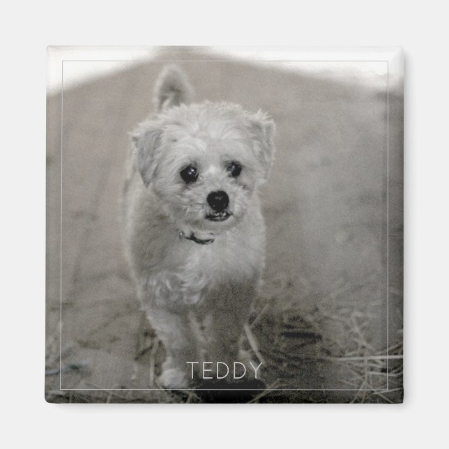 Pet Foto Zeitlos Keepake Dog Mama Vater Magnet (Vorne)