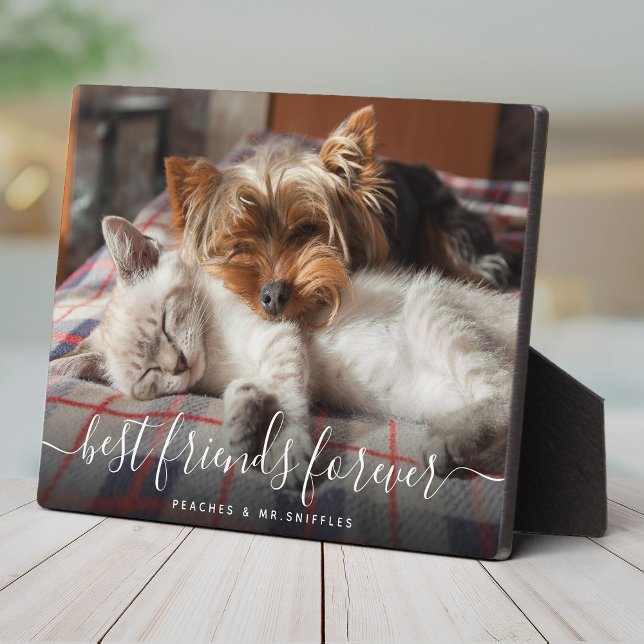 Pet Friends Best Friends Forever BESTE FREUNDIN Be Fotoplatte (Von Creator hochgeladen)