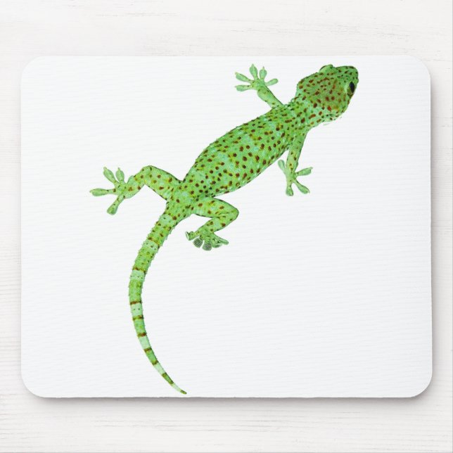 Pet Gecko Lizard Design Mousepad (Vorne)