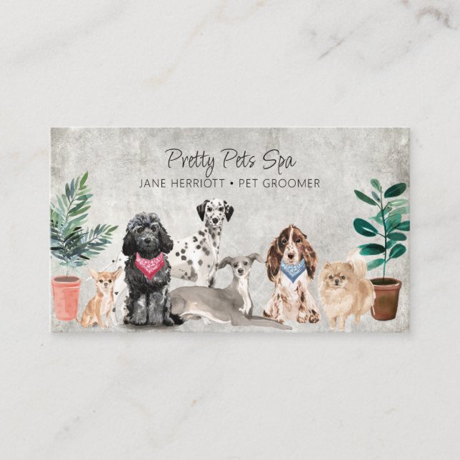 Pet Grooming Pet Wellness-Center Visitenkarte (Vorderseite)