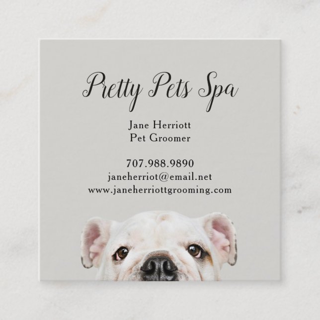 Pet Grooming Quadratische Visitenkarte (Vorderseite)