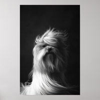 Pet Grooming Salon Boutique Yorkshir Portrait