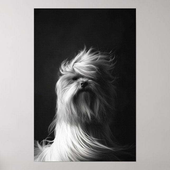 Pet Grooming Salon Boutique Yorkshir Portrait Poster (Vorne)