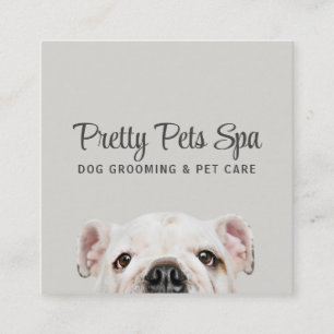 Pet Grooming Sitter Chien Spa Carré Carte de visit
