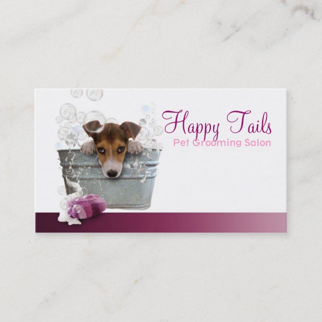 Pet Grooming Wohnzimmer Business card Visitenkarte (Vorderseite)