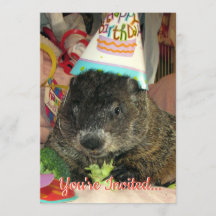 Pet Groundhog Moses zum Geburtstag Einladung