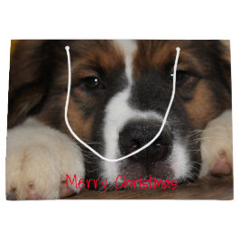 Pet Hund Fotografie Große Geschenktüte