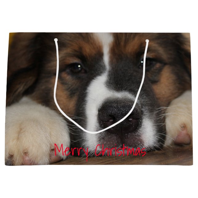 Pet Hund Fotografie Große Geschenktüte (Vorderseite)