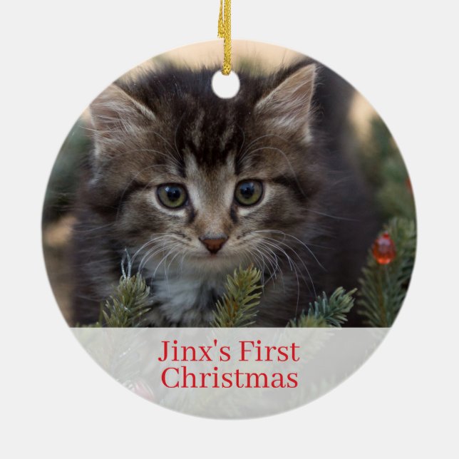 Pet Kittens First Christmas Foto Ornament (Hinten)