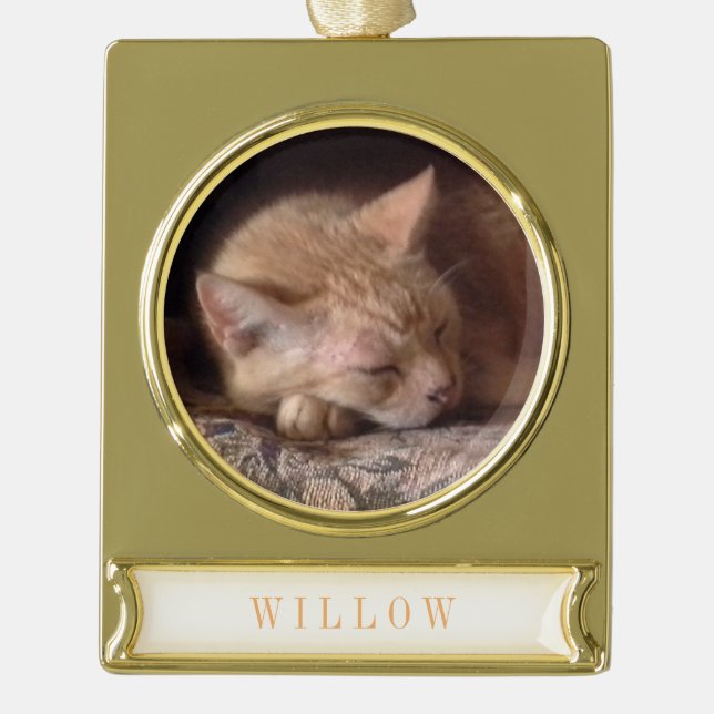 PET LIEBE Banner Ornament / Gold (Vorderseite)